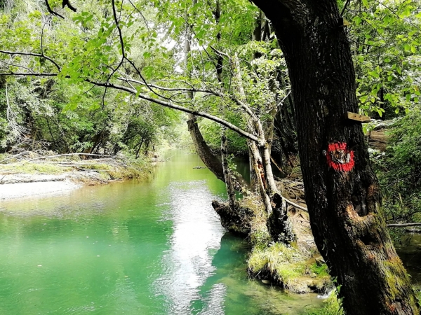 KLISURA REKE GRADAC - PEŠAČKA TURA (Manastir Lelić i Ćelije)